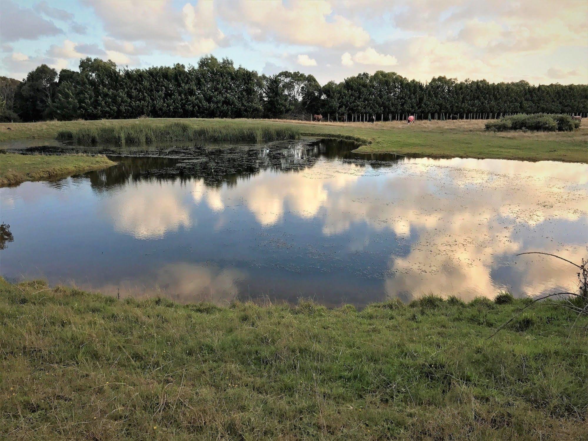 Woodbyne Resort Wimbledon Heights Buitenkant foto
